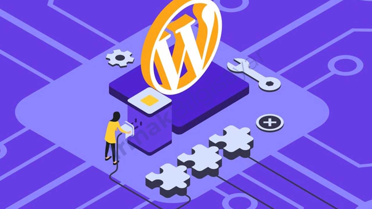Wordpress En Çok Kullanılan Tema ve Eklentiler